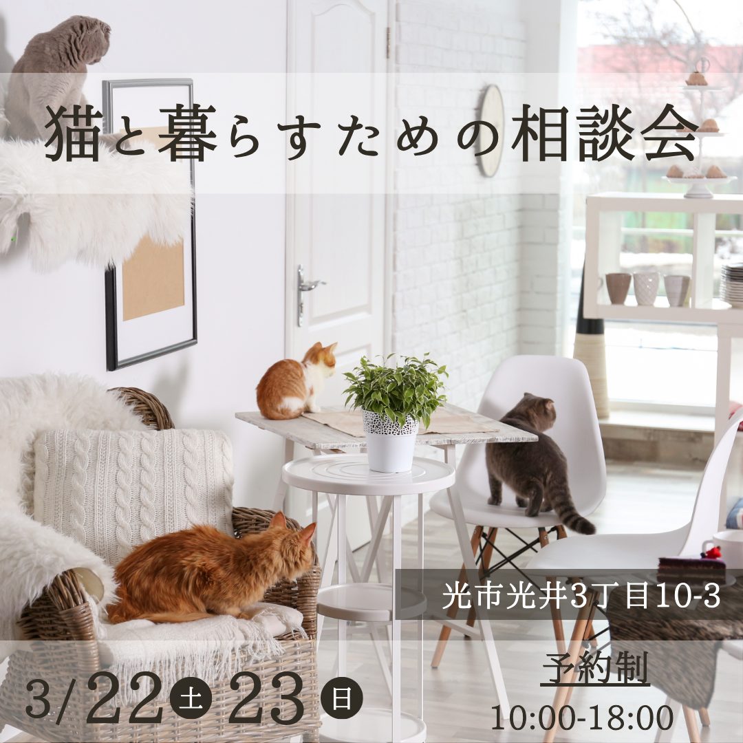 猫と暮らすための相談会